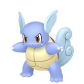 6IV Wartortle Indigo Disk Pokemon Scarlet and Violet